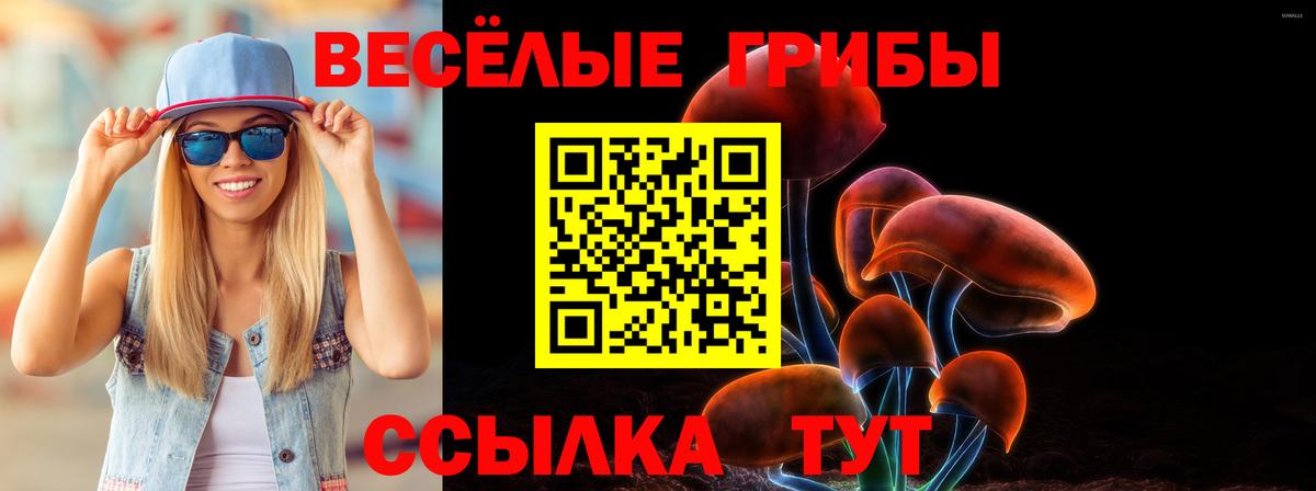 Псилоцибиновые грибы GOLDEN TEACHER  Вход с VPN  Галлюциногенные грибы Magic Shrooms  Буйнакск 